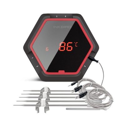 IBT-6XS 6 probe digital thermometer