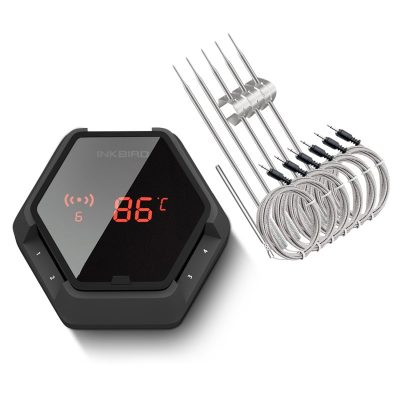 IBT-6XS 6 probe digital thermometer